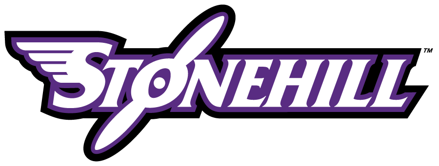 Stonehill Skyhawks 2005-2017 Wordmark Logo diy DTF decal sticker